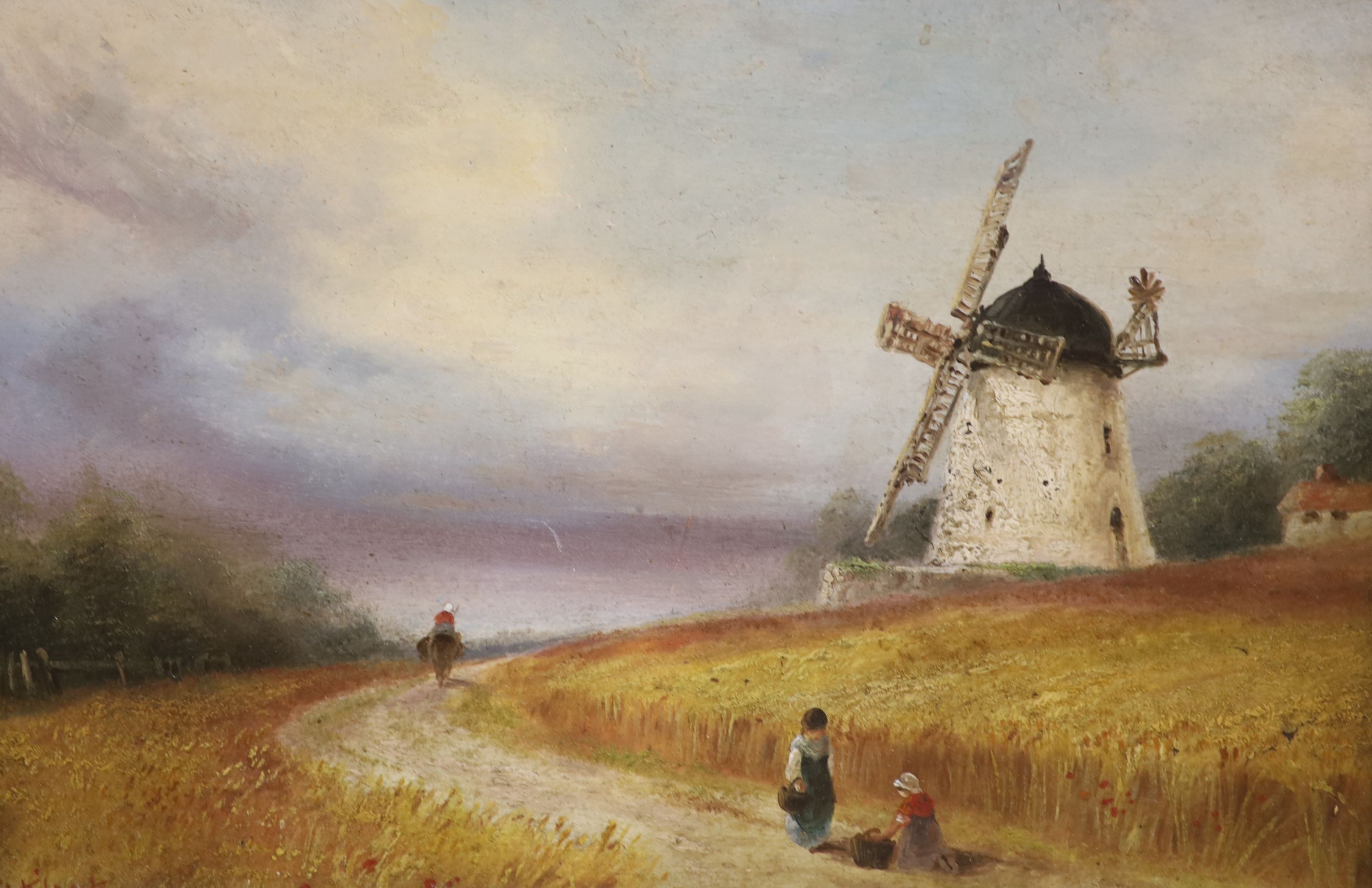 Sarah Louise Kilpack, oil on board, Lane through a cornfield with windmill beyond, signed, 19 x 30cm